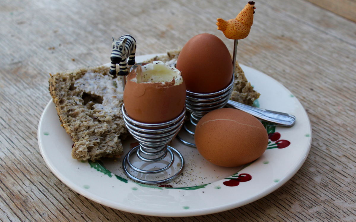 Soft Boiled Eggs Protein Soft Boiled Eggs Protein