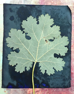 Wet cyanotype, Sue Reno, Image 14