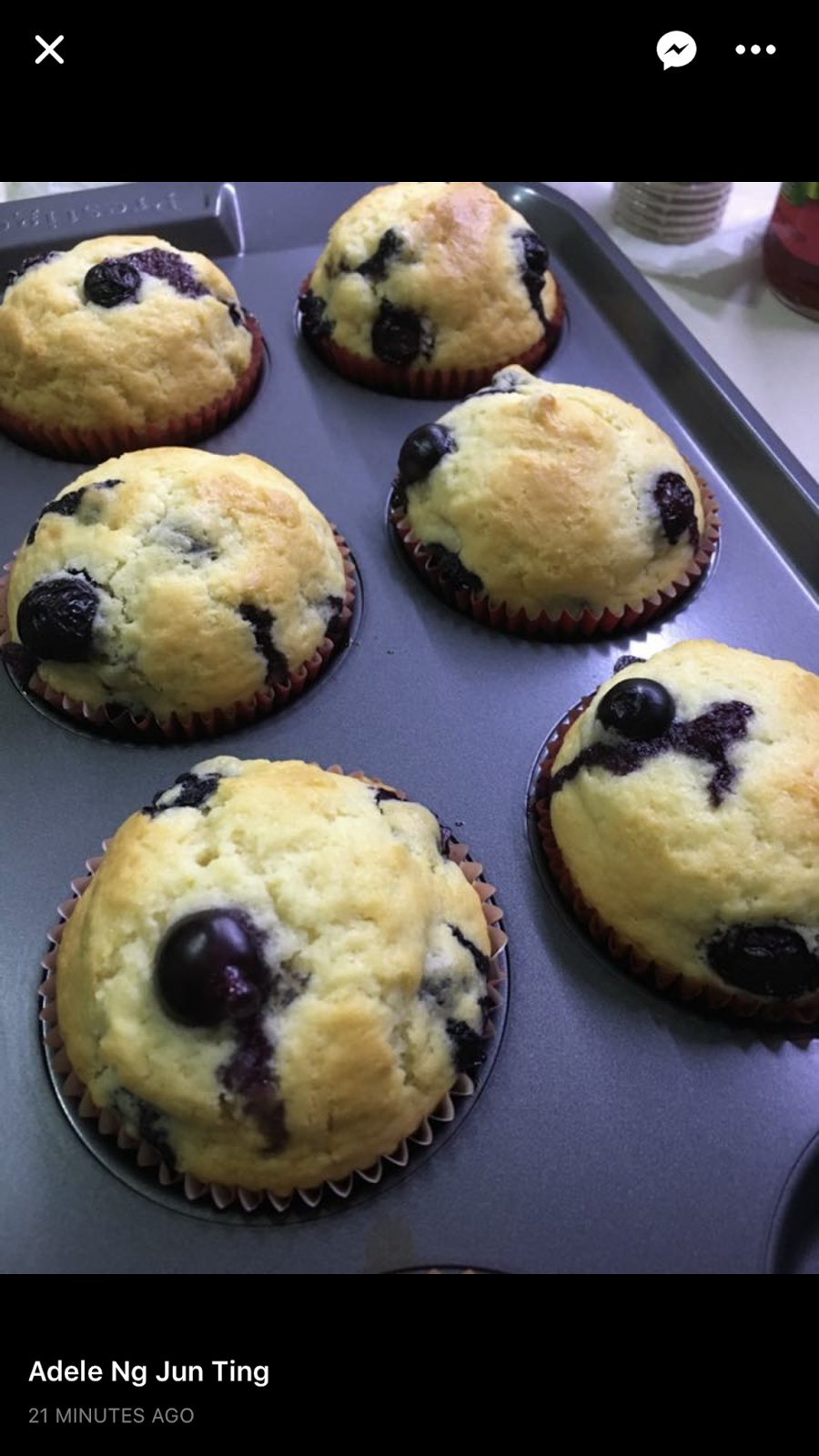 Miki's Food Archives Cranberry Muffin (No Baking Soda Added) 蔓越莓麦芬
