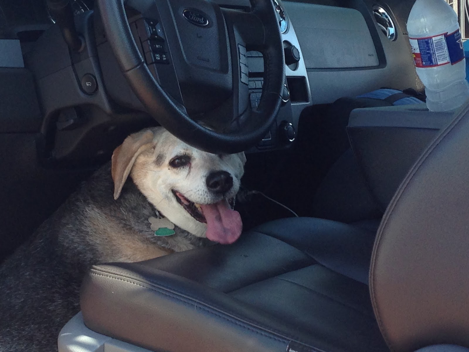 July 2011 Likely Impossibilities