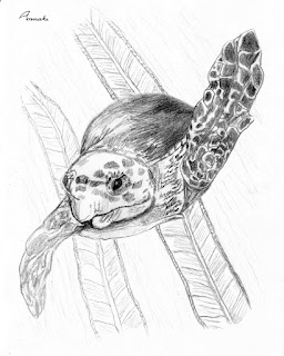 Sea turtle print by Annake