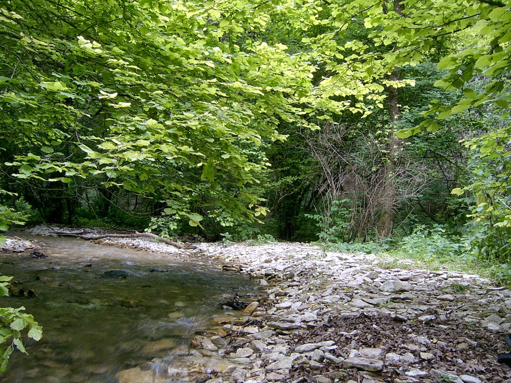 долина очарования кисловодск. богатырские пещеры горячий ключ. долина очарования горячий ключ озеро. горячий ключ долина. долина очарования горячий ключ база.