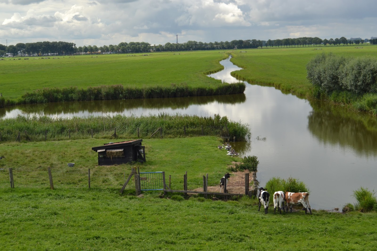 Waterland - 10 días acampando por Bélgica y Holanda (2)