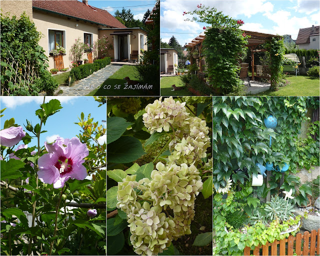 Frontiers Molecular Reconstruction Of An Old Pedigree Of Diploid