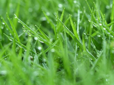 Un Mundo Casi Perfecto.: Lo que vale la pena