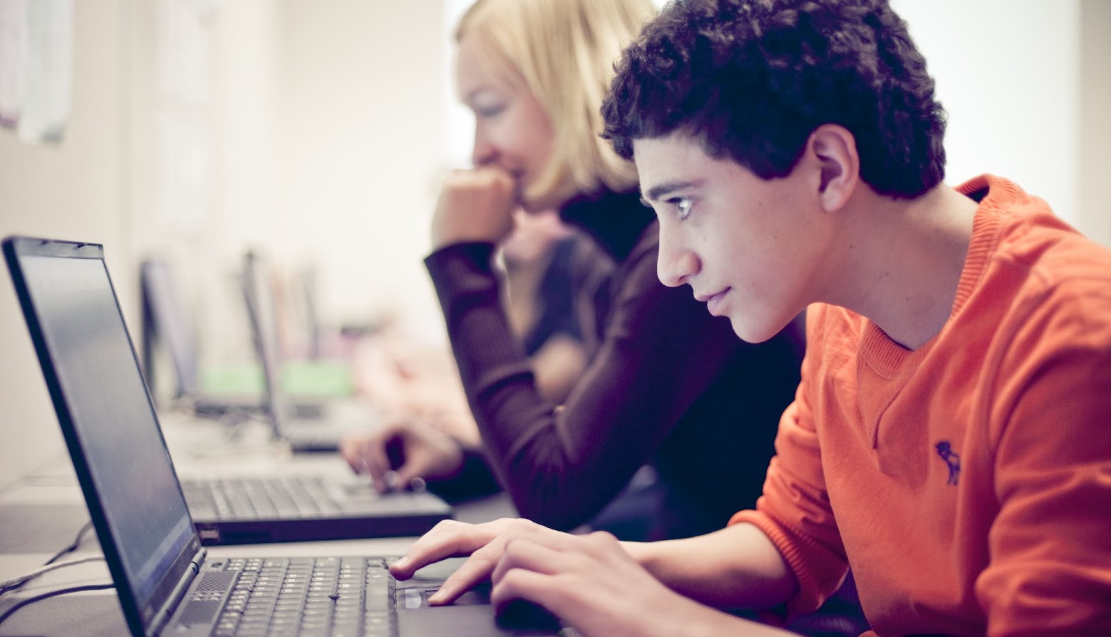 custom essays online