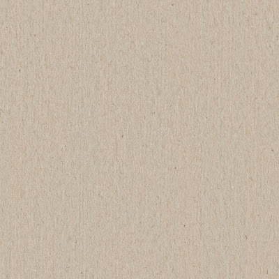Seamless plywood cardboard texture