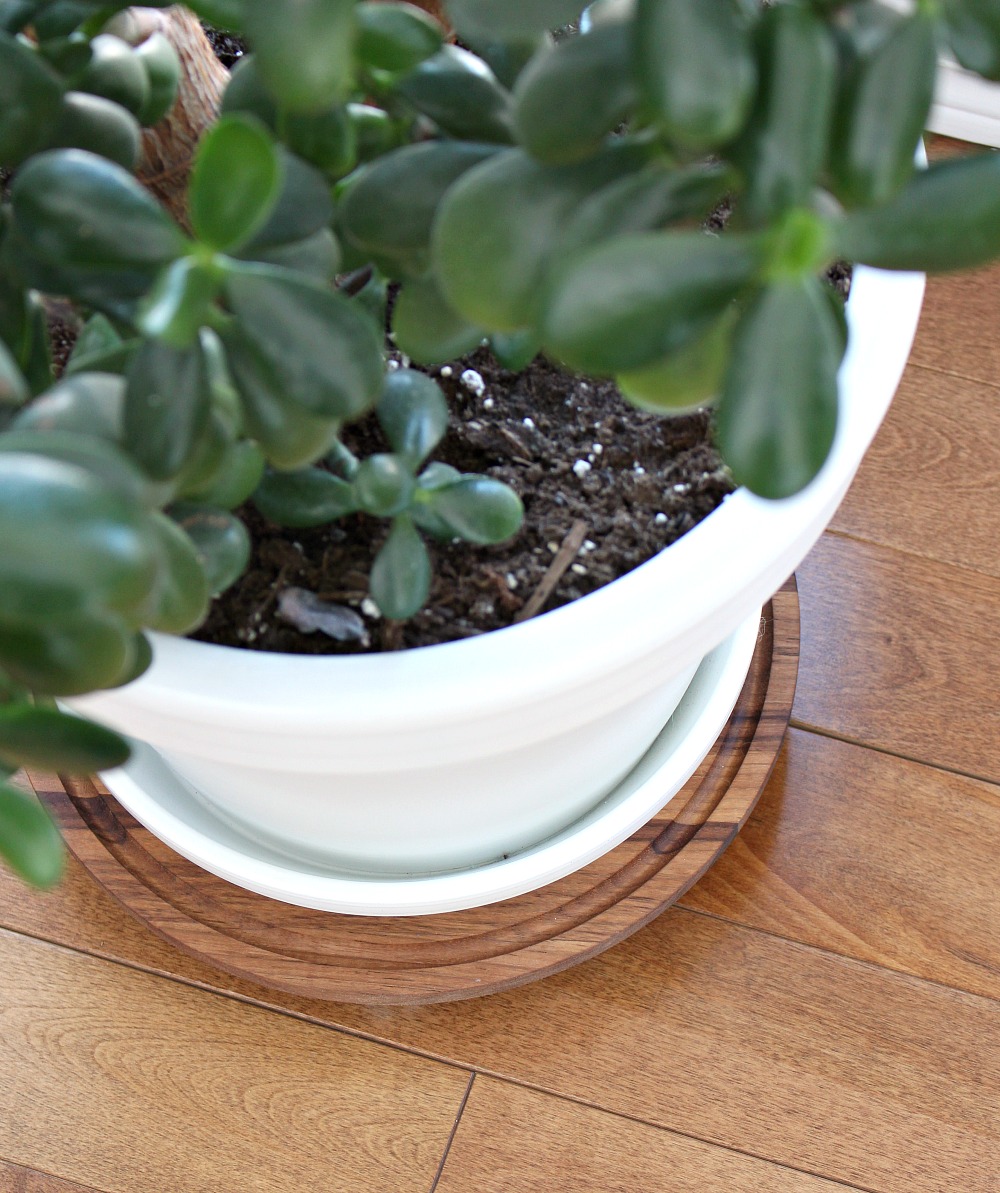 Easy Walnut DIY Plant Dolly Dans le Lakehouse