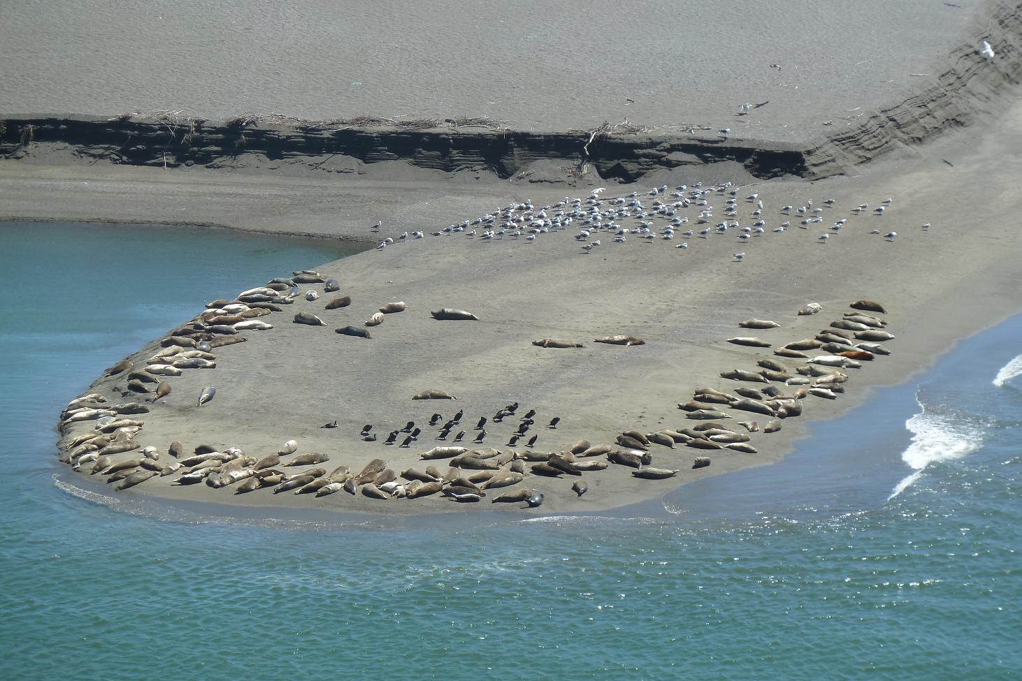 Matthew and Nancy's North American Tour Bodega Bay