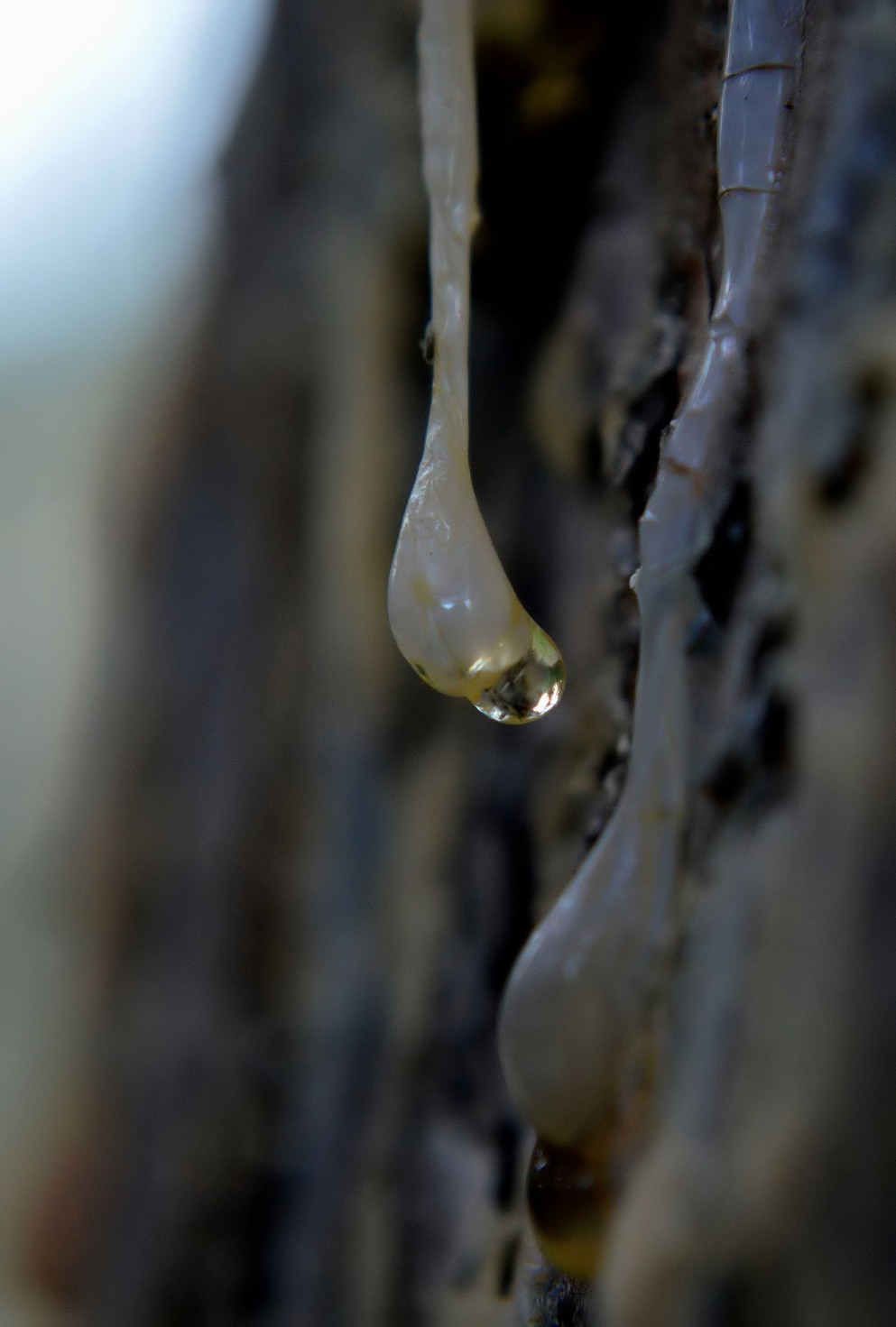 Random Images from a Nightowl This and That January 2012