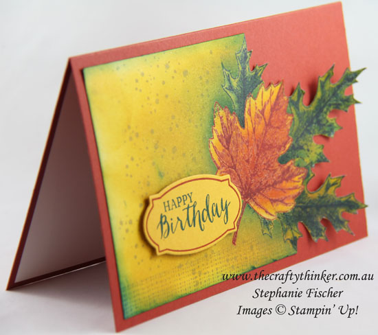 Vintage Leaves, Masculine card, Awesomely Artistic, Emboss Resist, #thecraftythinker, Stampin' Up Australia Demonstrator, Stephanie Fischer, Sydney NSW