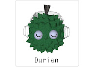 Durian  Flashcard