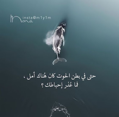صور مكتوب عليها