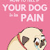 Με ποιο τρόπο  ο σκύλος μας δείχνει ότι πονά;...