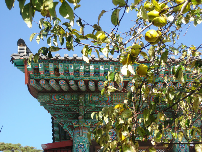 On the Flipside: A Korean Adventure: Sudeoksa Temple and Yesan Apple ...