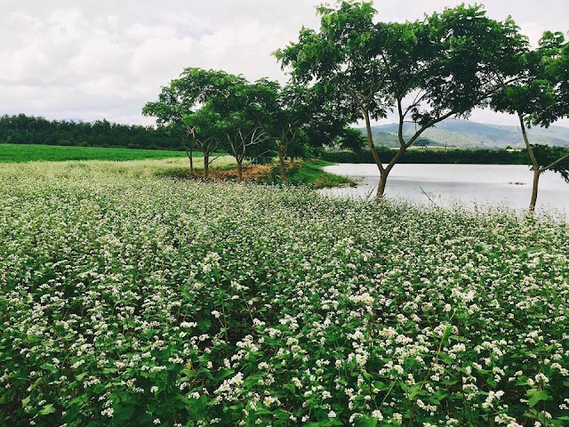 Phát hờn với những địa điểm đẹp mê mẩn trong MV mới của Quang Vinh