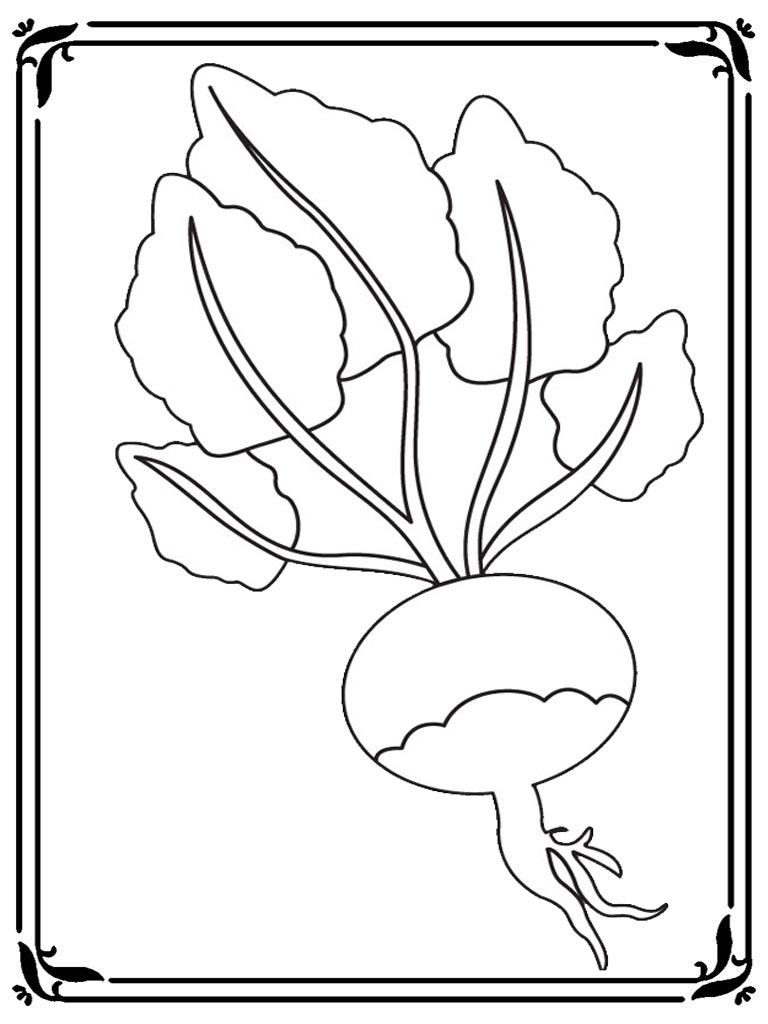 Download Turnip Coloring Page Coloring Pages