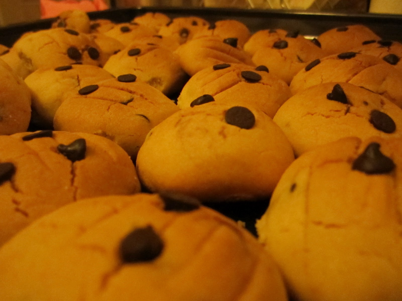 dukan mı diyeti çikolata damlalı kurabiye