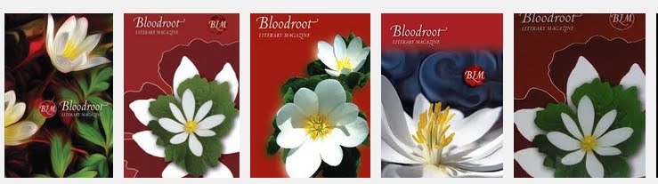 Bloodroot Literary Magazine