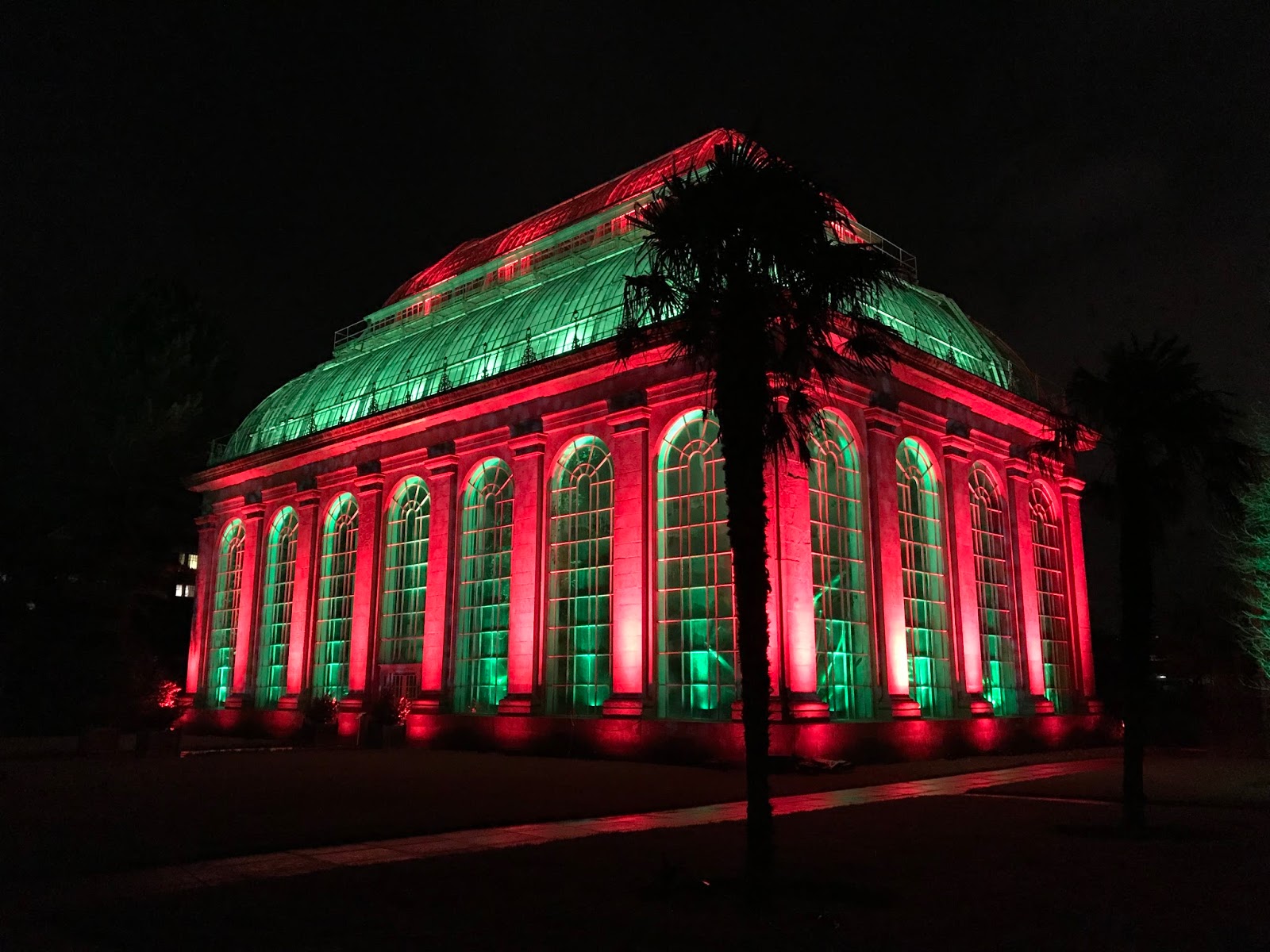 Christmas at the Botanics, Edinburgh
