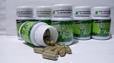 Kapsul daun Kelor obat herbal untuk diabetes melitus