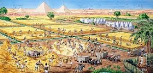Pertanian Bangsa Mesir Kuno