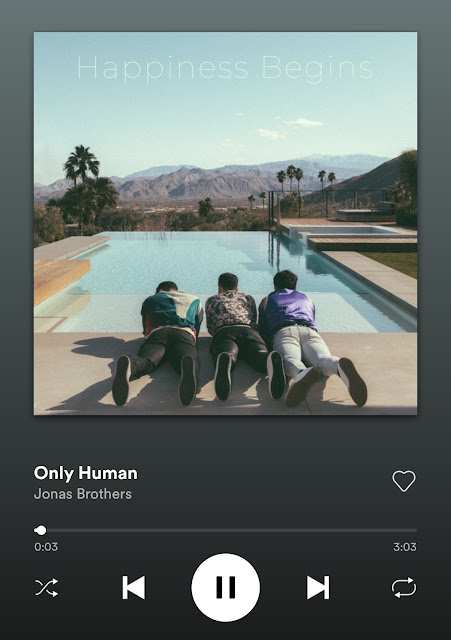 only-human-Jonas-brothers