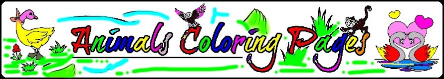 ANIMALS COLORING PAGES