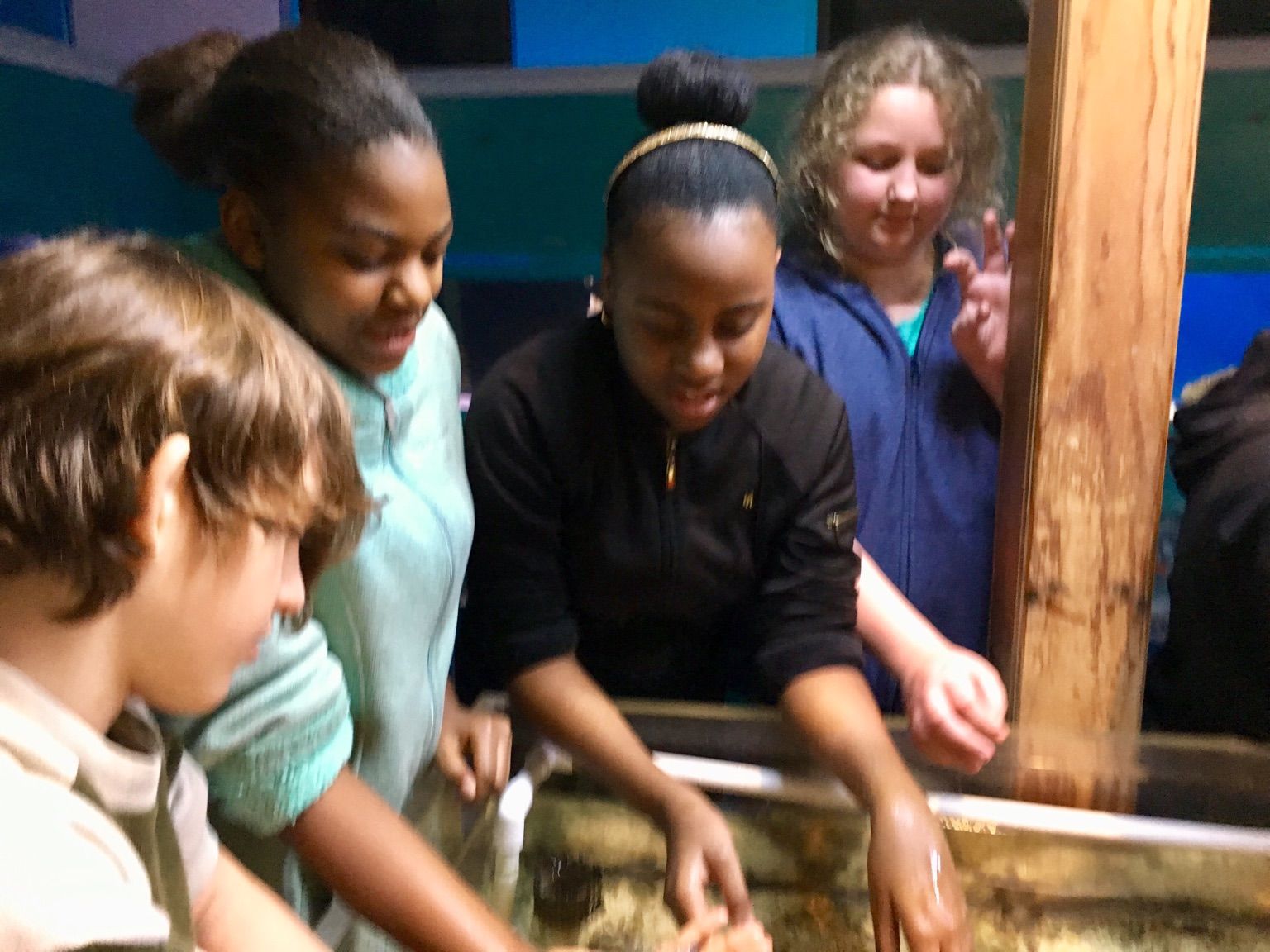 Mrs. Jenkins' News Marine Science & Education Center