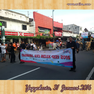 Karnaval ayo Melek Gizi 2016