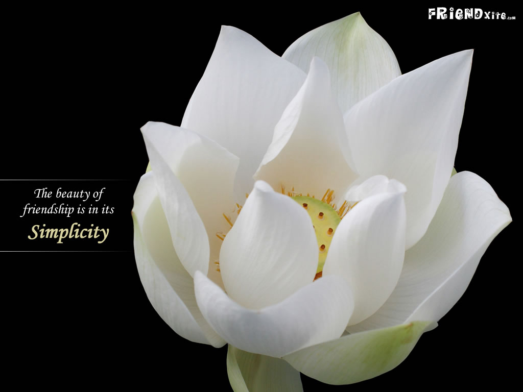https://2.bp.blogspot.com/-2ZGK5GSbkgI/TdTHeShGaPI/AAAAAAAADRg/oPJlbFCTRNY/s1600/friendship-wallpaper-3.jpg
