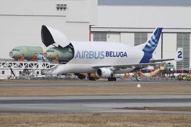 Airbus Beluga'ya gövde yüklemesi yapılıyor.