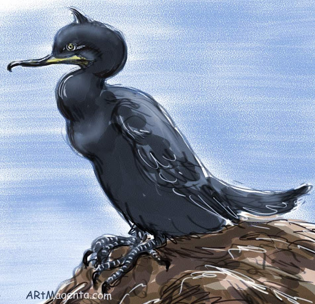 Common Shag, a bird sketch by Artmagenta.