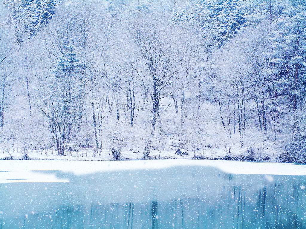 Winter Bones nutrition for bone health