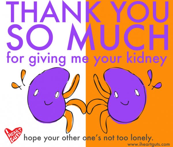 Kidney Donate Kidney