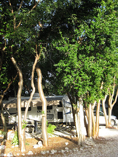 Oppd tree cutting, Islamorada FL