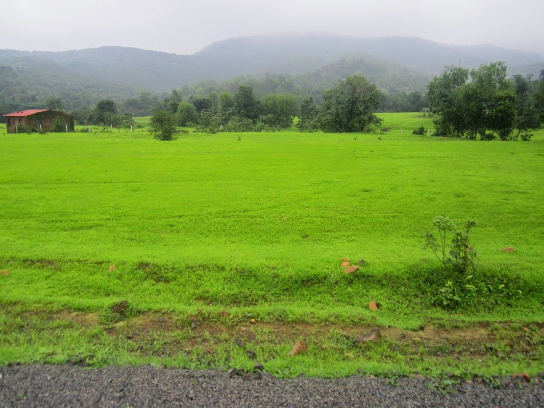 atul borkar Agriculture land for sale at velhe 10 lac