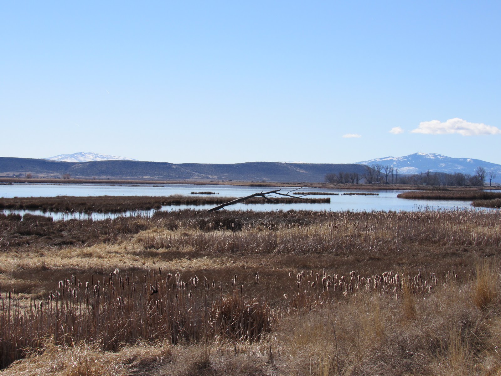Vaughn the Road Again Modoc National Wildlife Refuge