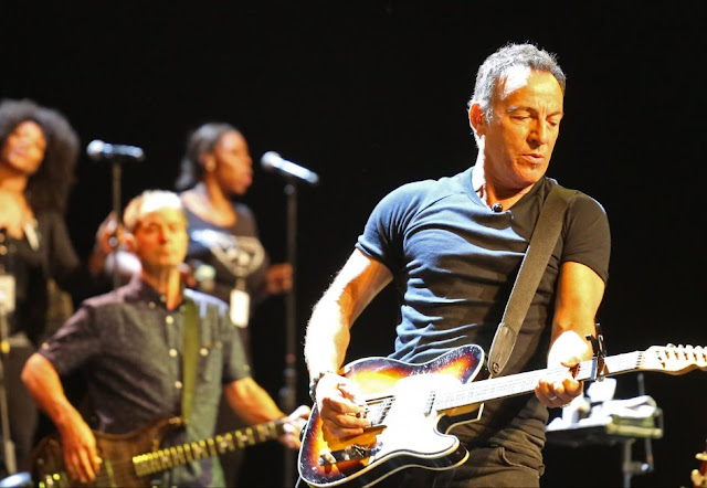 Bruce Springsteen (Concierto en Cape Town, Sudáfrica, Enero de 2014)