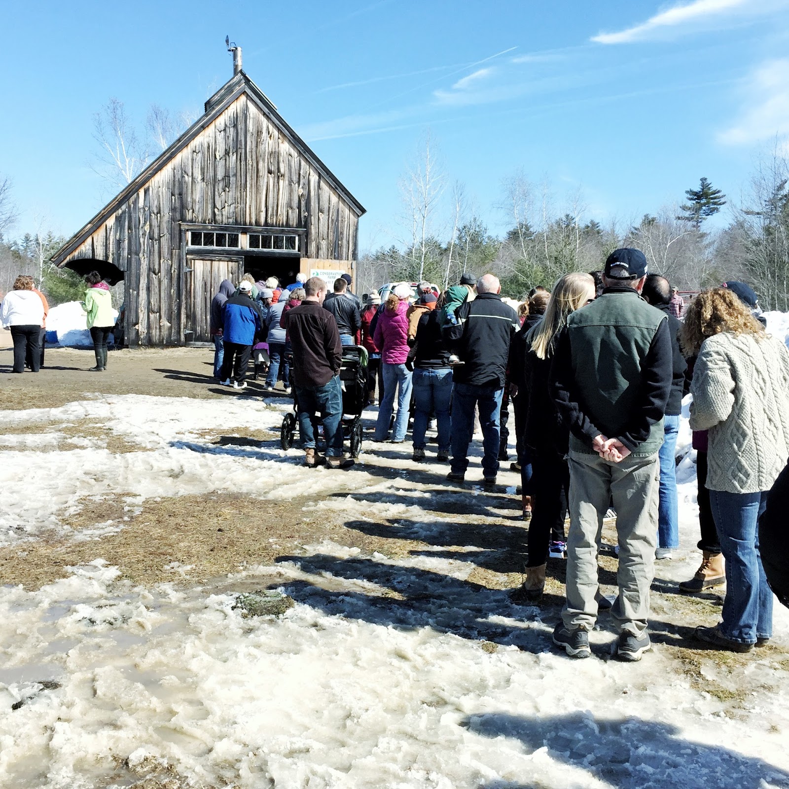 intern[life] [back] to that sugar shack