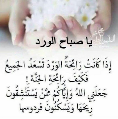 صور صباح الخير صور صباح الخير