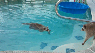 Ma vie de prof en gifs | 1 - Queenmercury | Lifestyle and more !