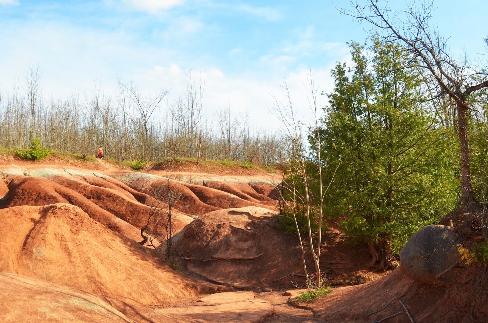 Woman in Real Life The Cheltenham Badlands