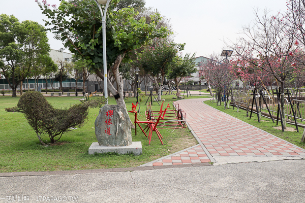 台中太平麗園公園300公尺櫻緣道賞櫻花,太平賞櫻好去處 台中太平麗園公園300公尺櫻緣道賞櫻花,太平賞櫻好去處