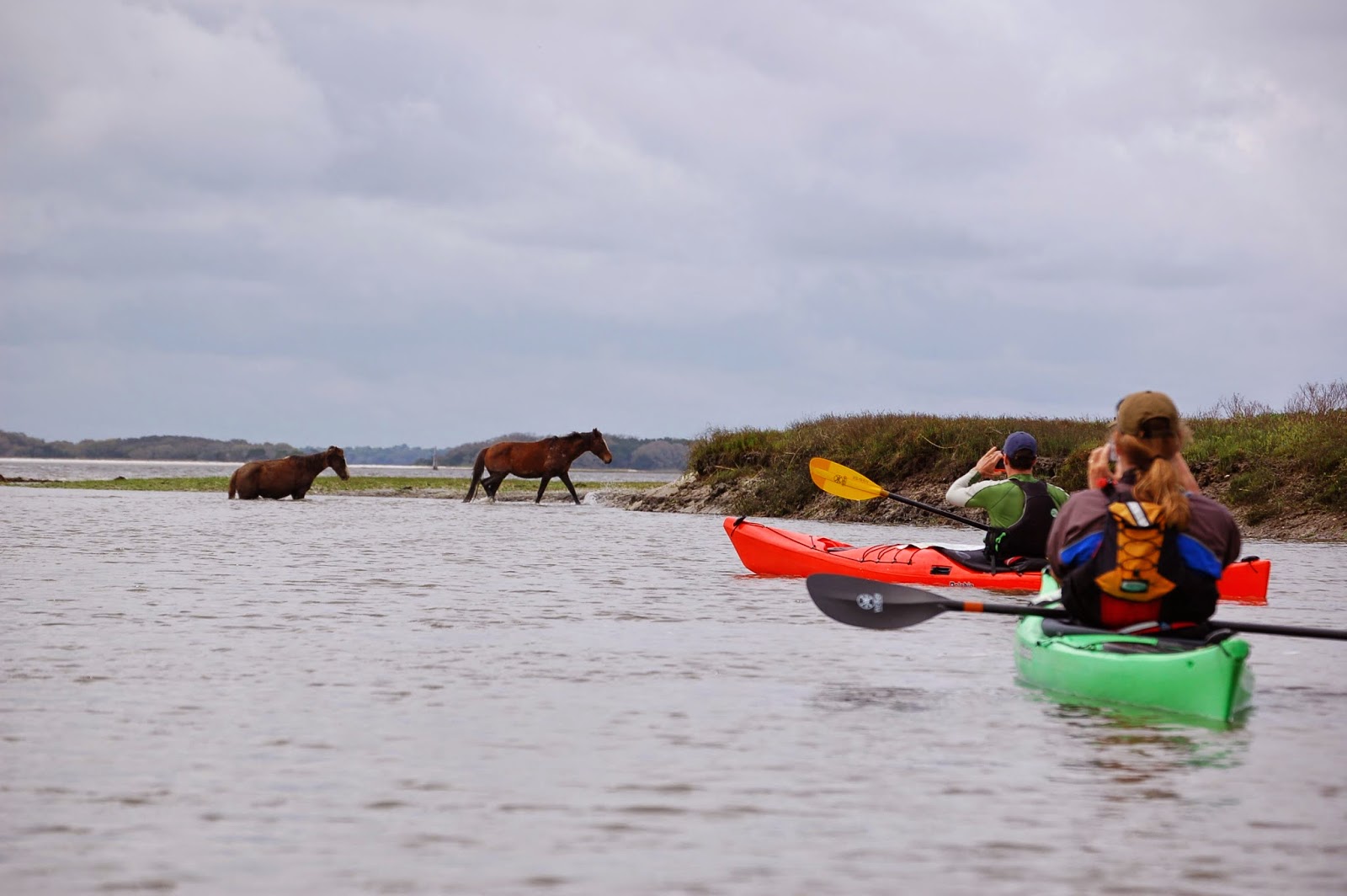 Sea Kayak Stonington Horsin' Around on Cumberland Island