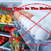 The Dangerous Reason Why You Should Never Keep Eggs In The Refrigerator!!!