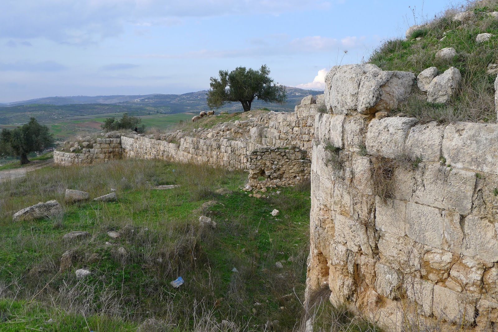 Jebusites Samaria Israelite citadel; Hellenistic citadel and