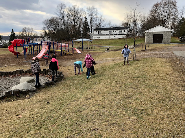 kids looking for pinecones on playground
