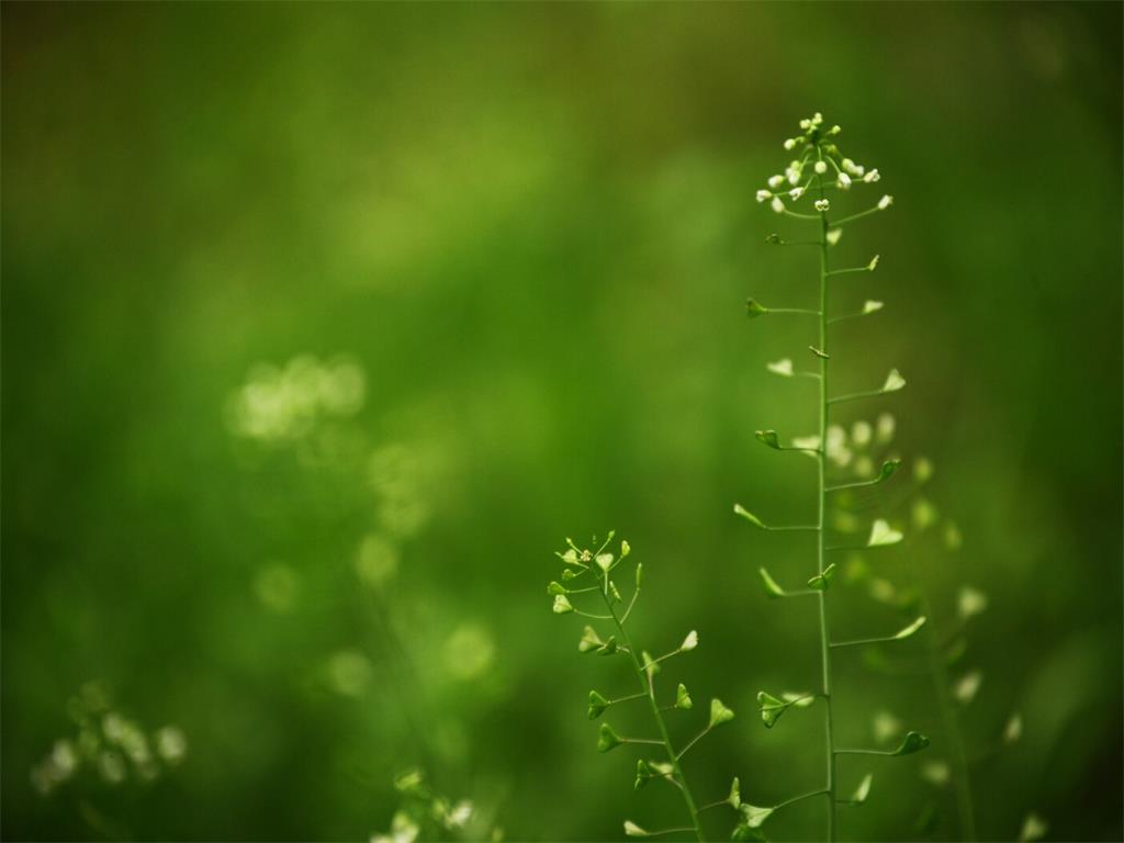 3d dark green ppt background the best powerpoint backgrounds dark green powerpoint background