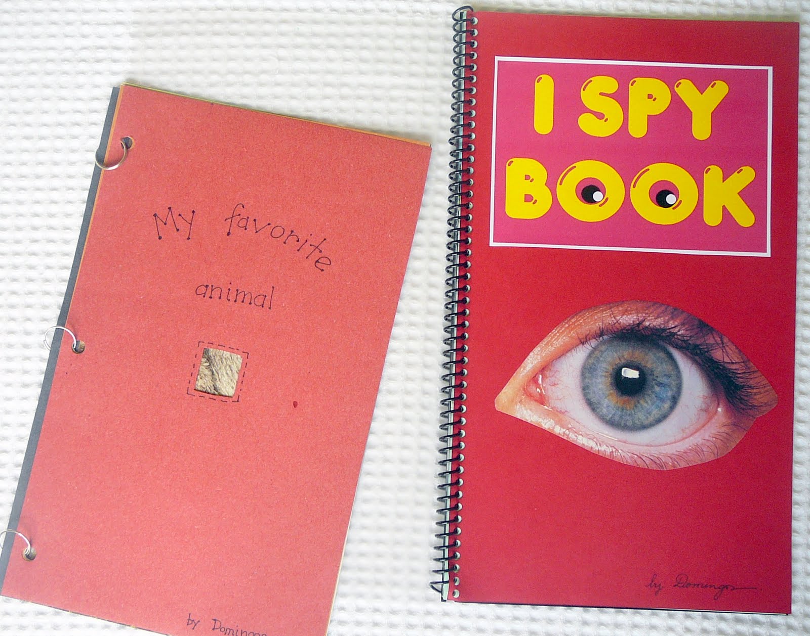 Kids Love English Window Books